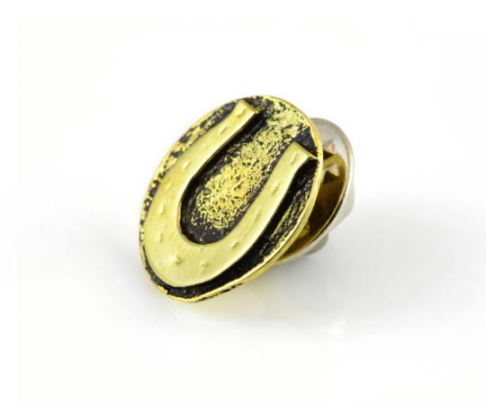 Horseshoe Brooch Pin