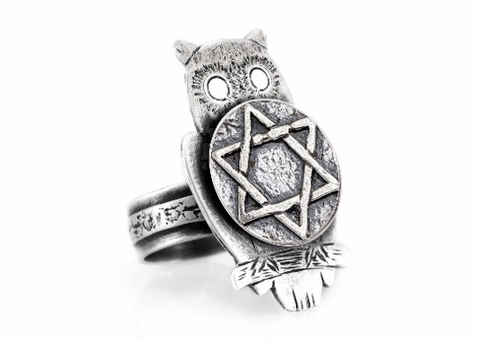 Coin ring with the Star of David coin medallion on owl Noa Tam coin jewelry owl jewelry