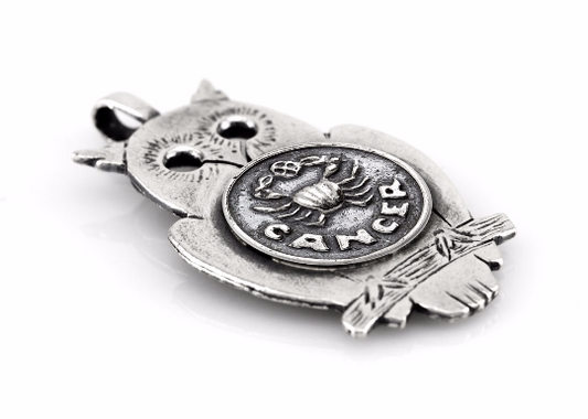 Medallion necklace with the Cancer medallion of The Zodiac horoscope jewelry zodiac jewelry handmade one of akine piece noa tam coin jewelry