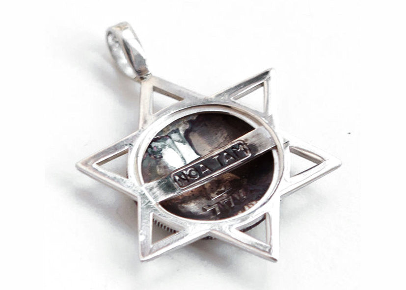 Silver Israel Lion Of David Pendant and Necklace, Courage Sacred, Star Of David Necklace, Israeli Jewelry, Jewish Gift, Israeli Coin Jewelry